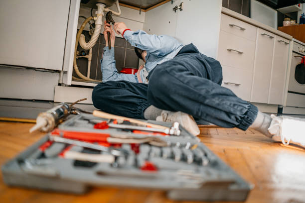 Best 24-Hour Plumber Near Me  in Elroy, WI