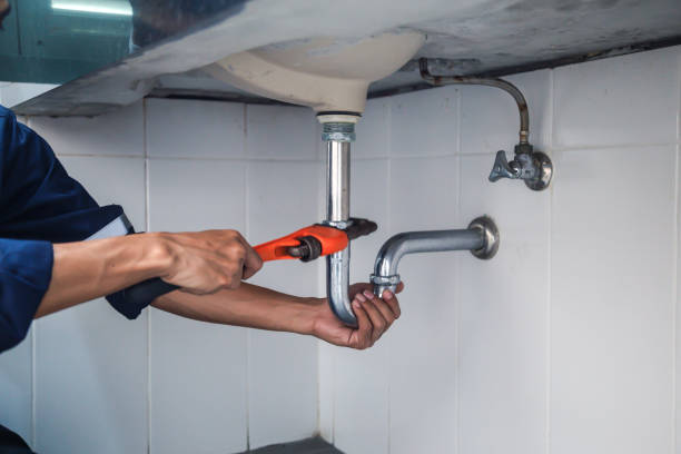 Best Sewer Cleaning Services  in Elroy, WI
