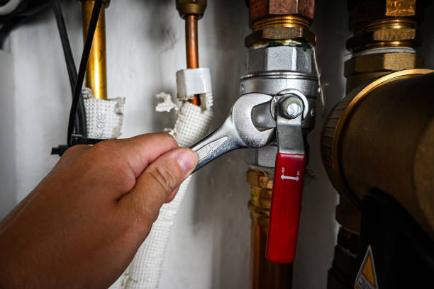 Best Water Leak Repair  in Elroy, WI